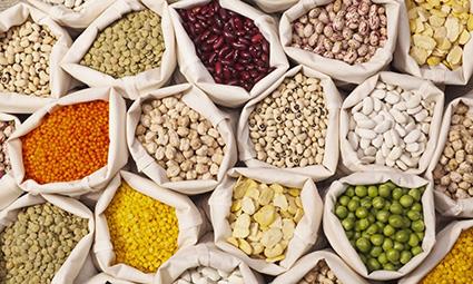 Importing and distributing all kind of Pulses, Grain and Seeds